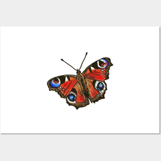 Peacock Butterfly Posters and Art